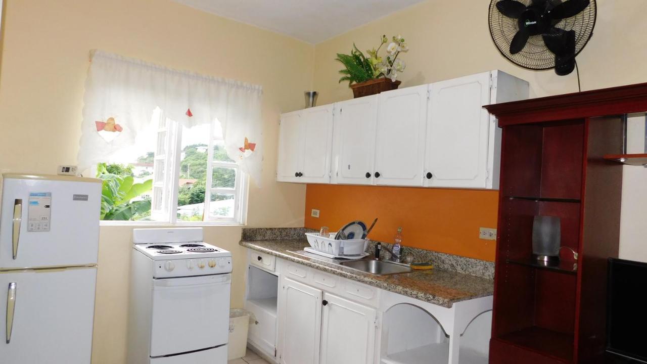 Dancehall Hostel Kingston Dış mekan fotoğraf