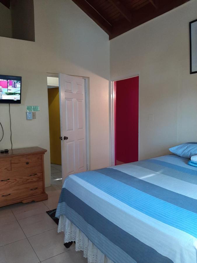 Dancehall Hostel Kingston Dış mekan fotoğraf