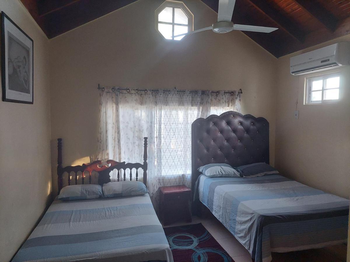 Dancehall Hostel Kingston Dış mekan fotoğraf