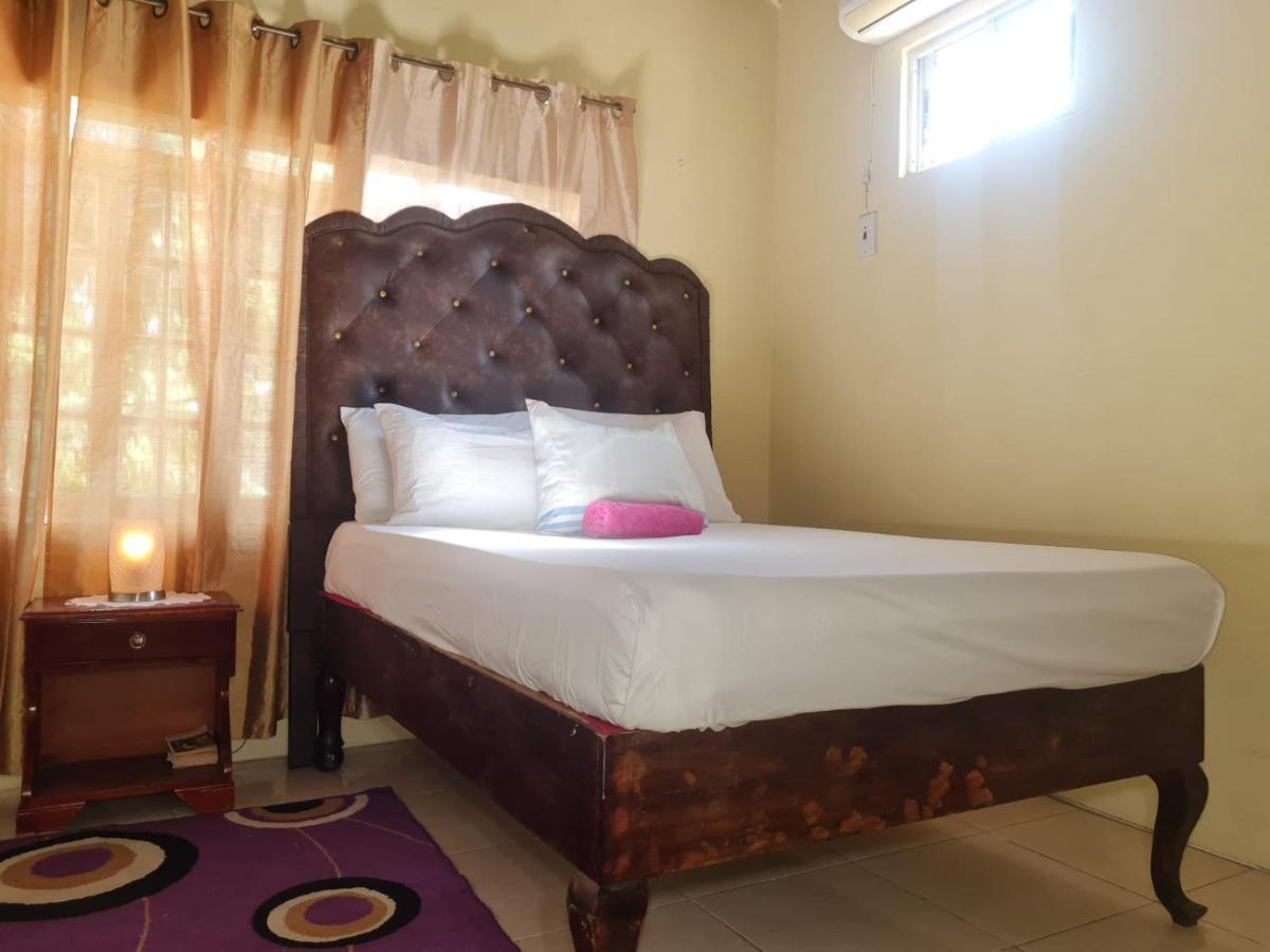 Dancehall Hostel Kingston Dış mekan fotoğraf