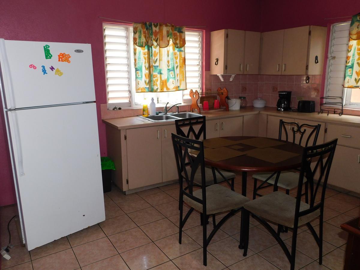 Dancehall Hostel Kingston Dış mekan fotoğraf