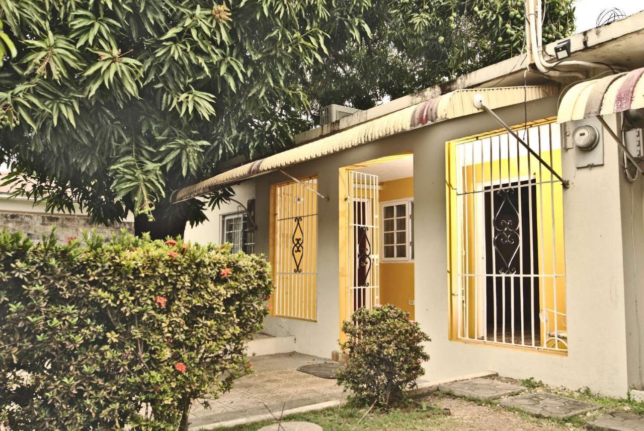 Dancehall Hostel Kingston Dış mekan fotoğraf